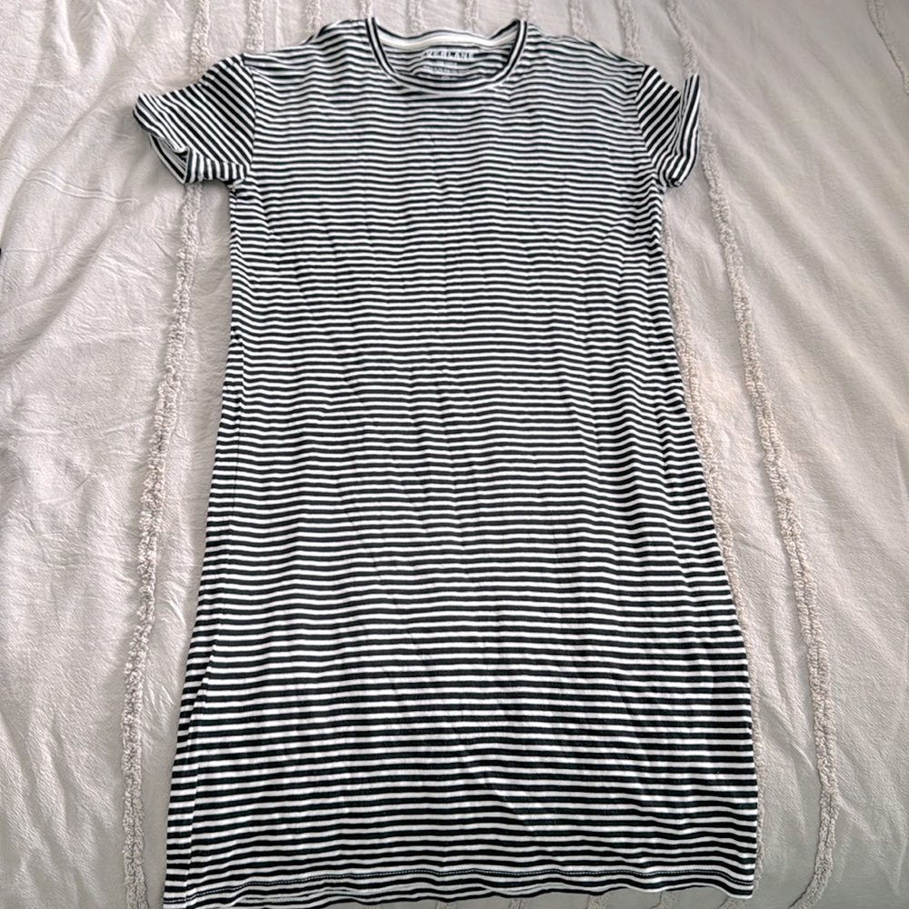 Everlane 100% Cotton Striped Tee Dress